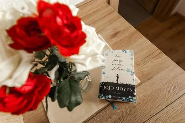 Im Feld 乡村民宿